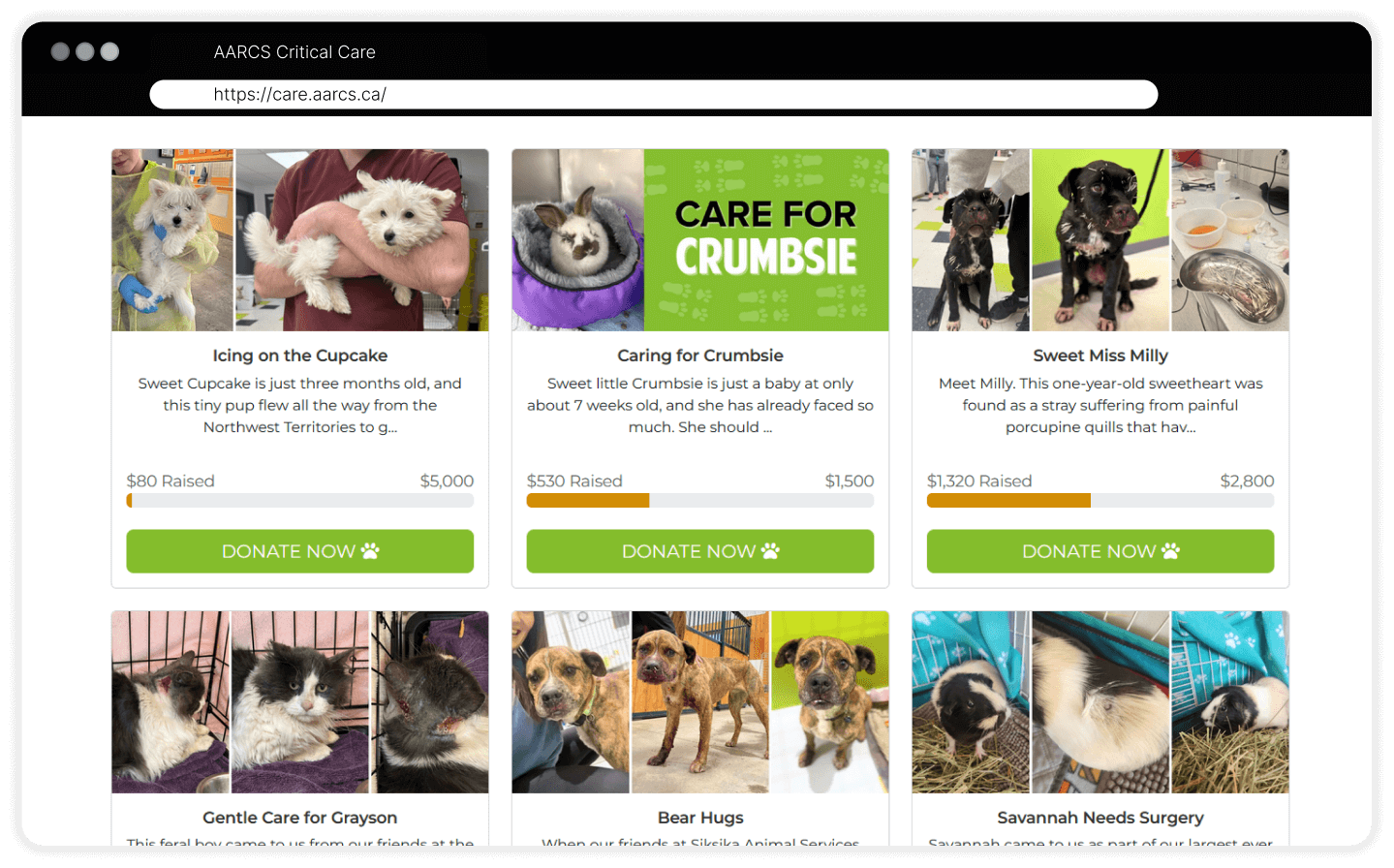Animal Charity Example Campaign